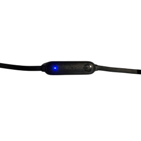 Temperature Controller